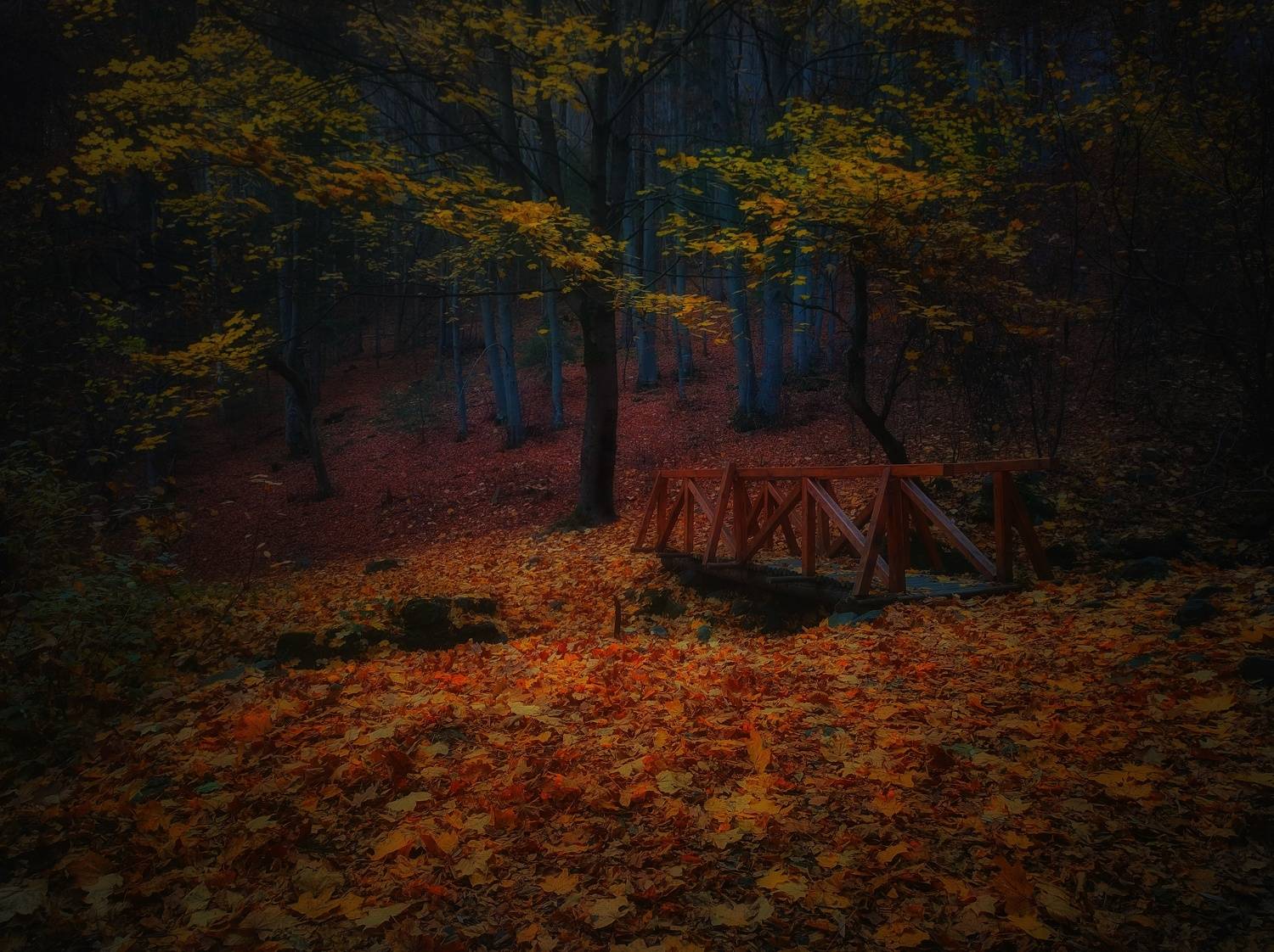 , Юлияна Стоянова