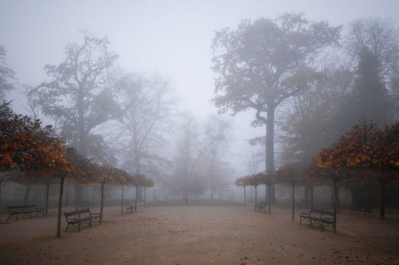 Autumn фото превью