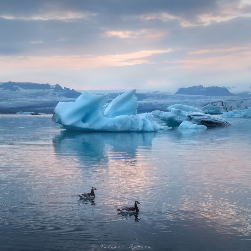Закатный свет в лагуне с айсбергами. Исландия фото превью
