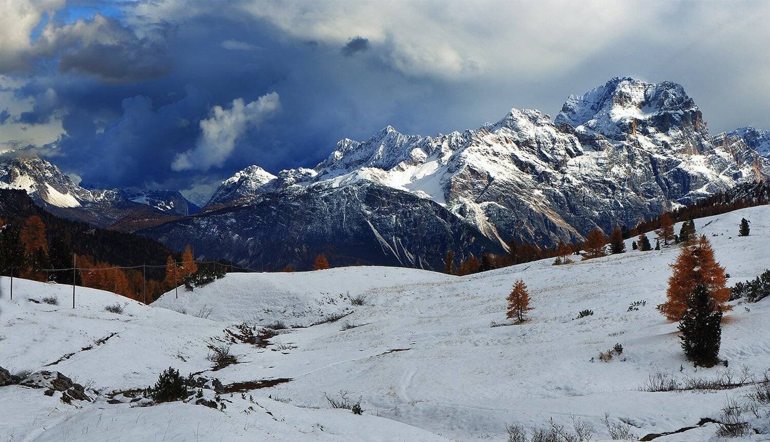 , Игорь Дубровский