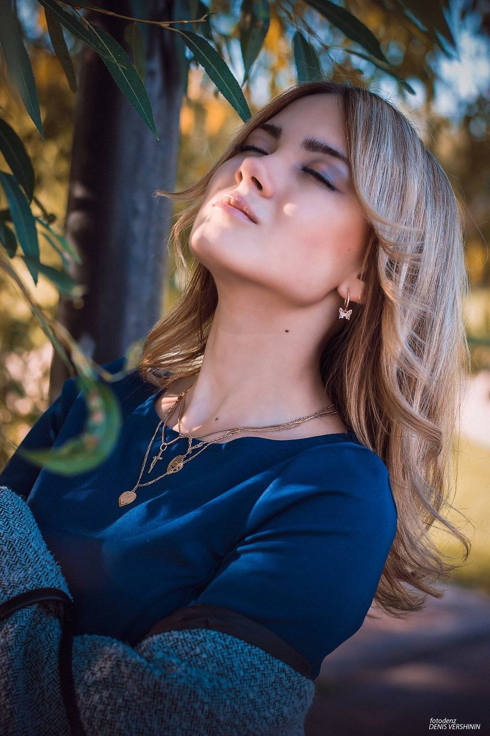 , Денис Вершинин