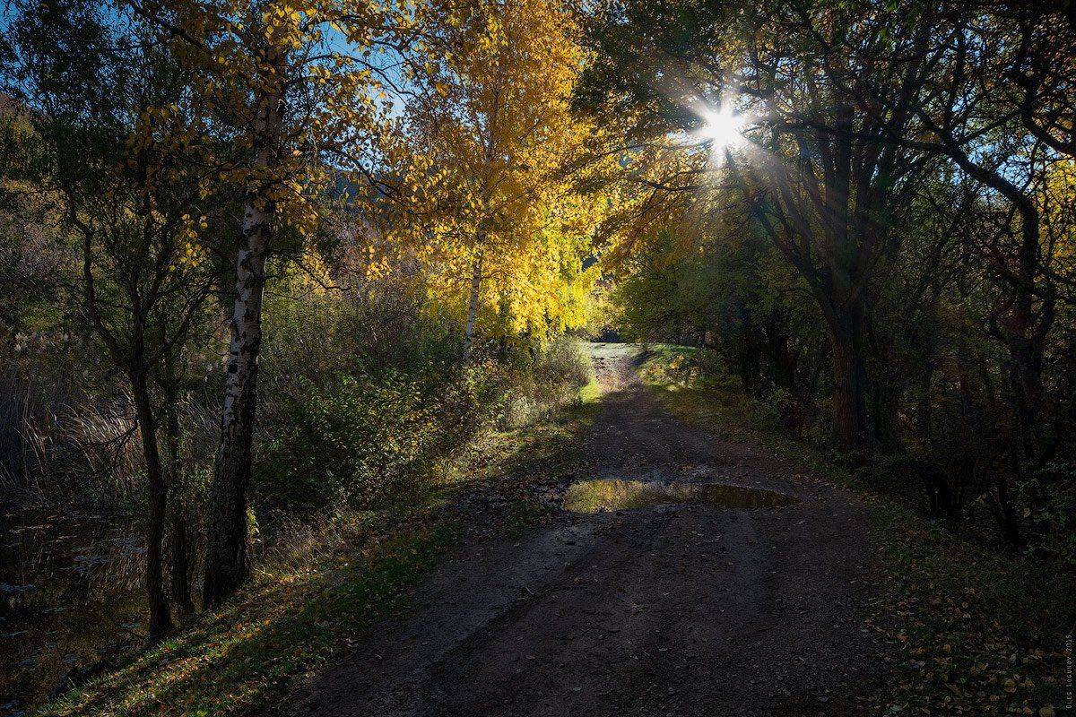 , Олег Логунов