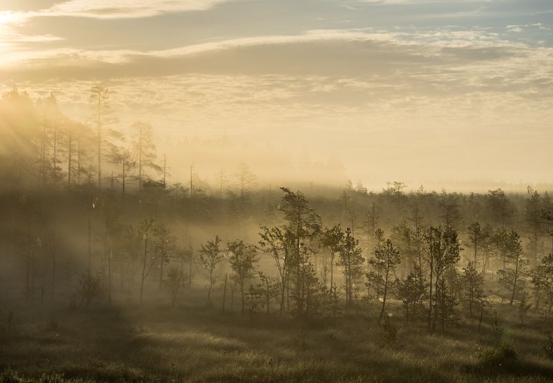 Карельское утро фото превью