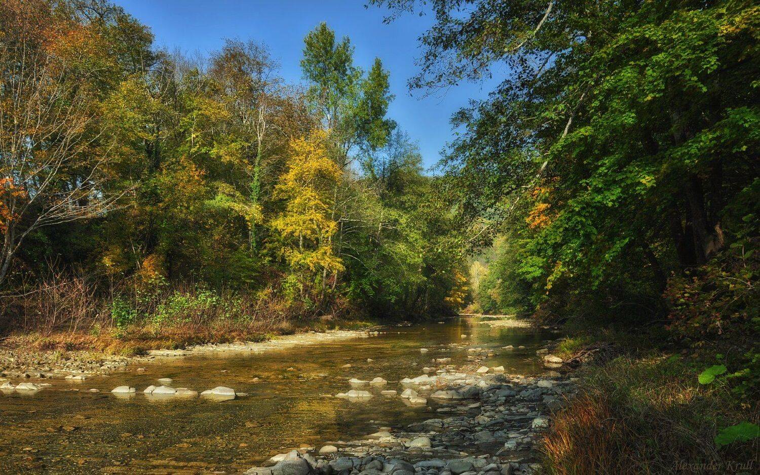 псекупс, Александр Круль