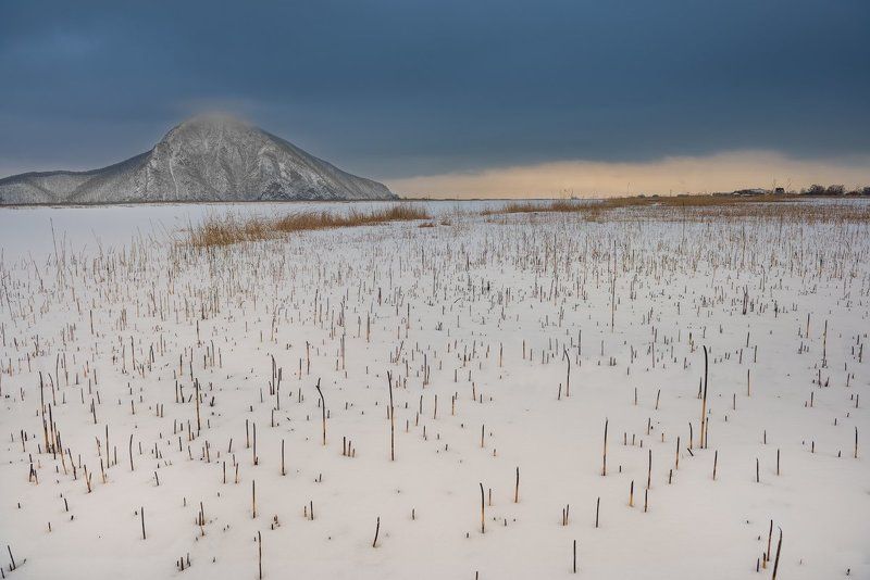 Thorns фото превью