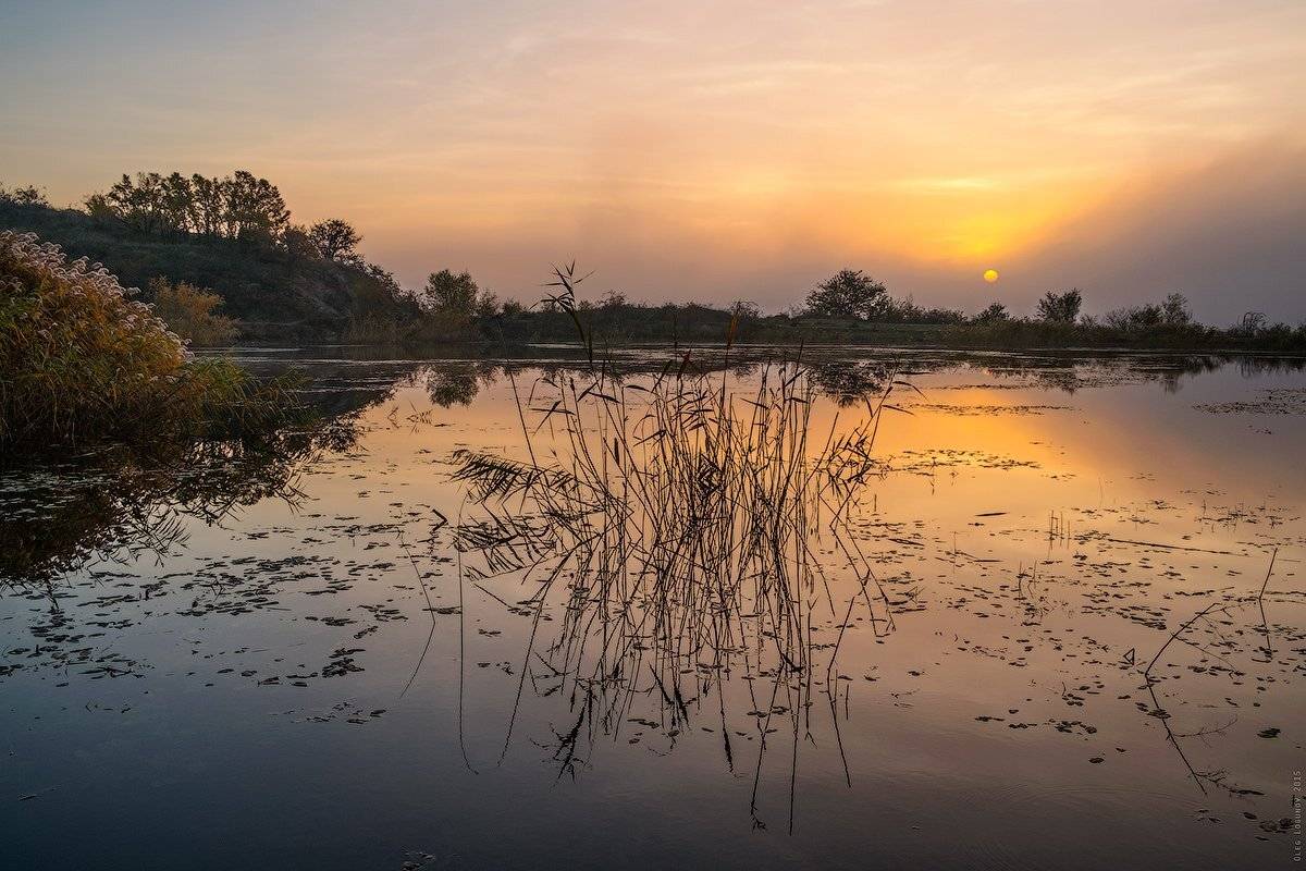 , Олег Логунов