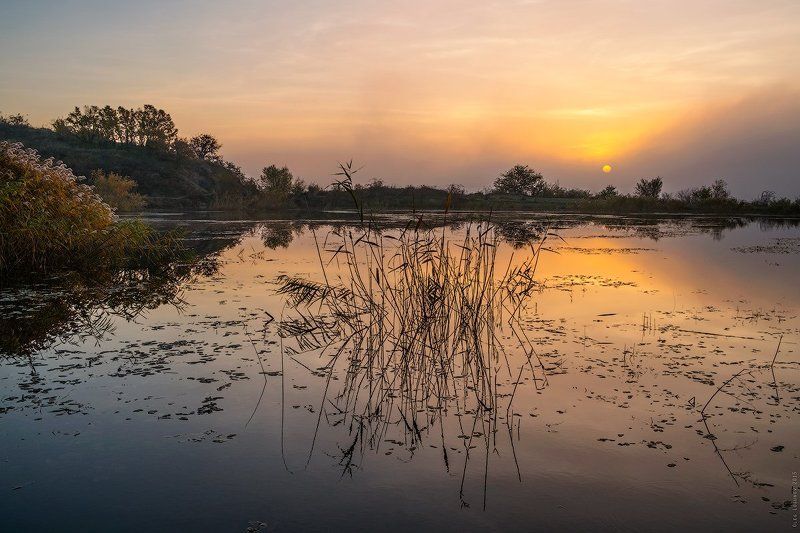 _ фото превью