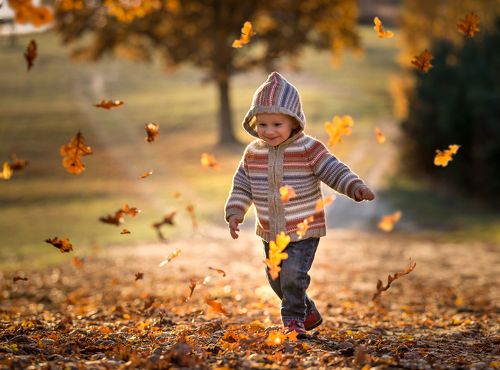 Autumn joy