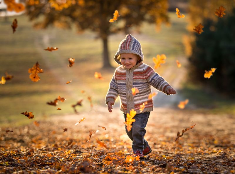 child,children photography, fotograf olsztyn, child portrait Autumn joy фото превью