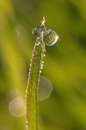 Утреннее недотрожье