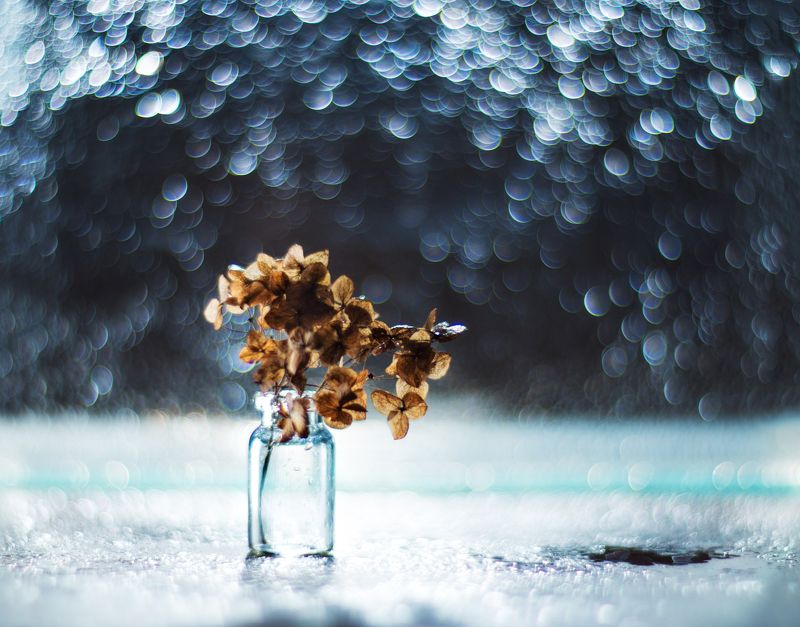 букет мини-букет фото превью