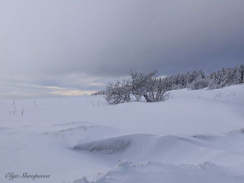 Божий Дар. Чехия.