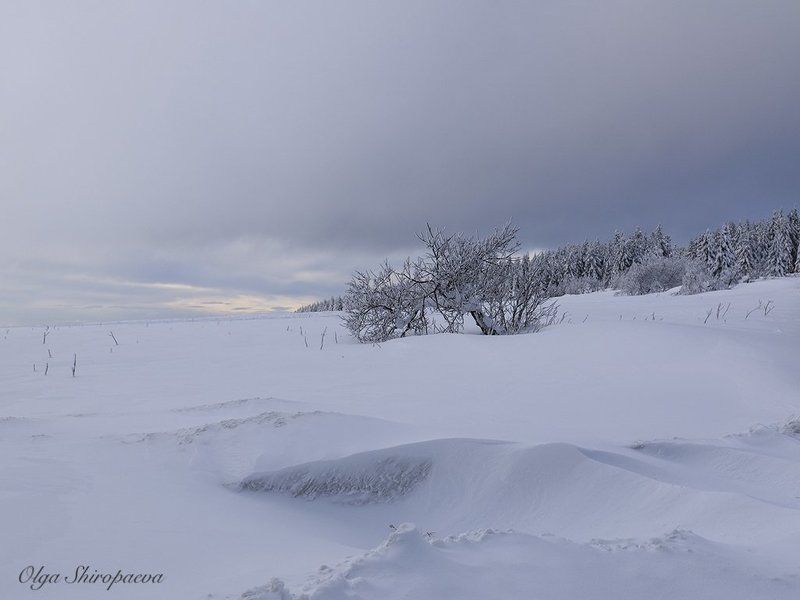 Чехия Германия зима снег  Божий Дар. Чехия. фото превью