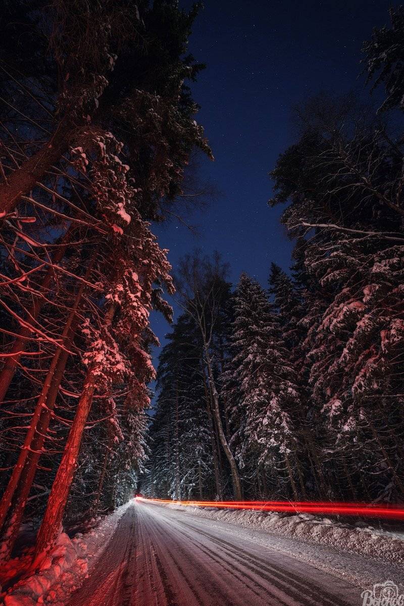 Зима, Лес, Лобненский лесопарк, Подмосковье, Сергей Вьюнов