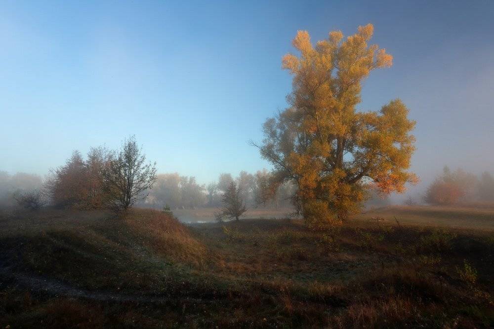 , Петриченко Валерий