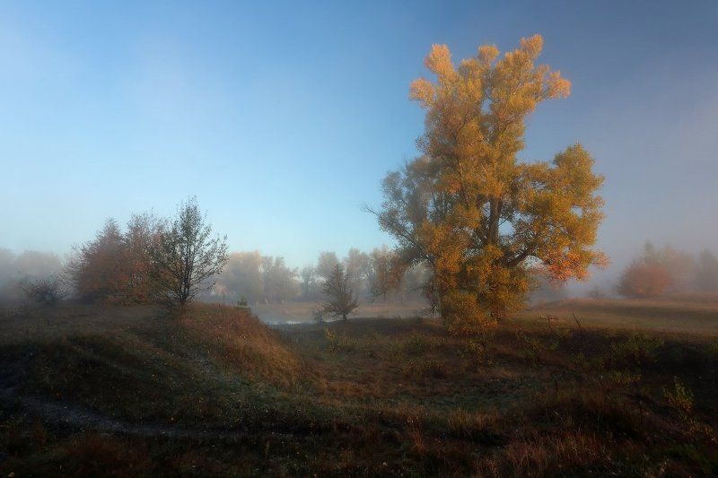 Утро полусонное. фото превью