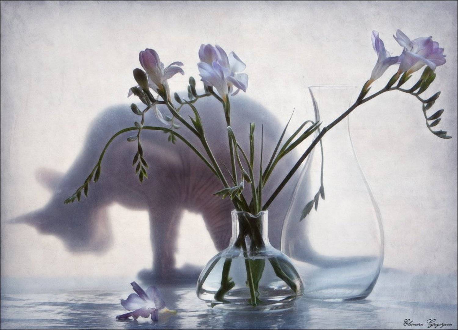 кошка, натюркотики, стекло, сфинкс, фрезия, Eleonora Grigorjeva