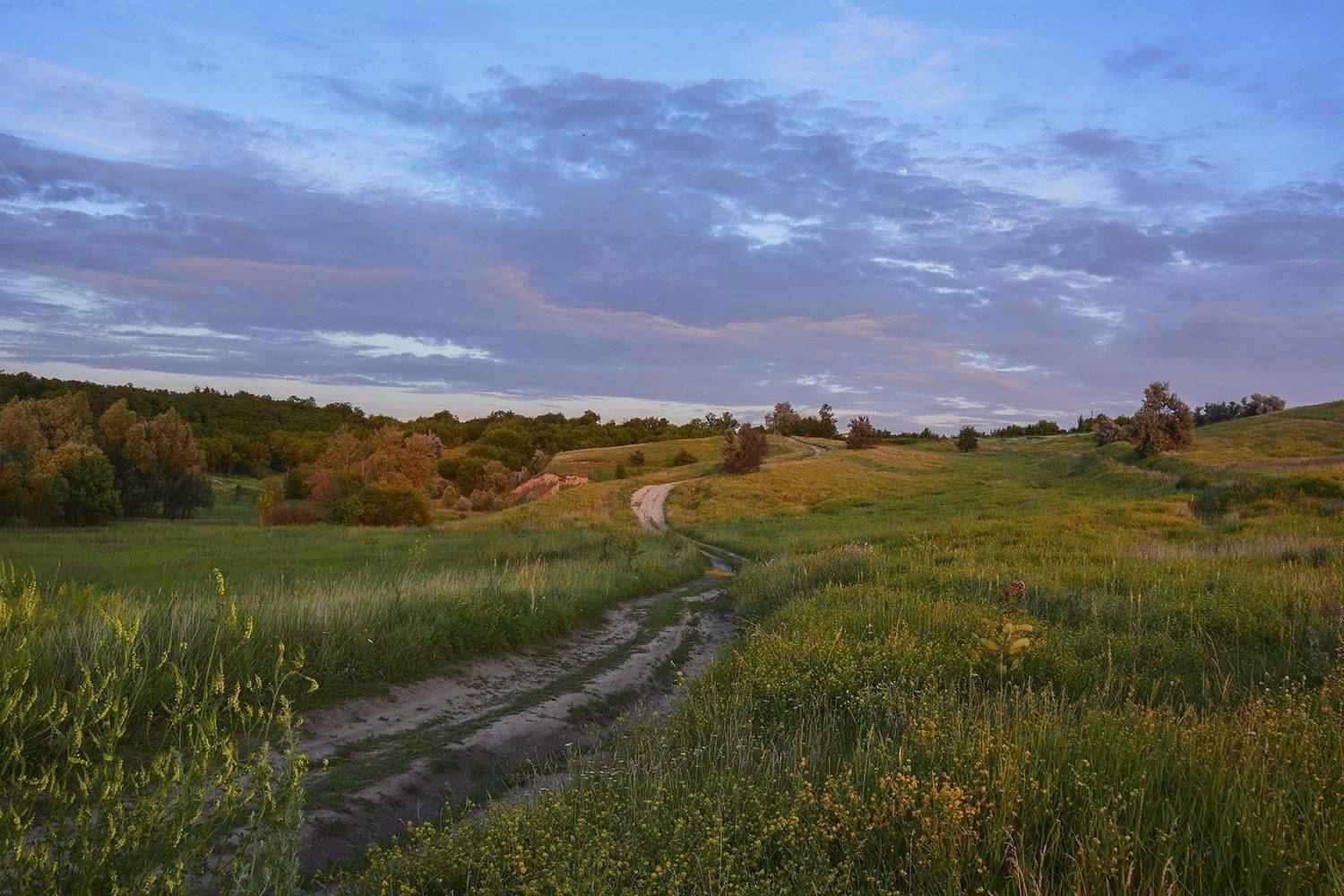 закат, дорога, краски, лето, перспектива, Дмитрий Колисниченко