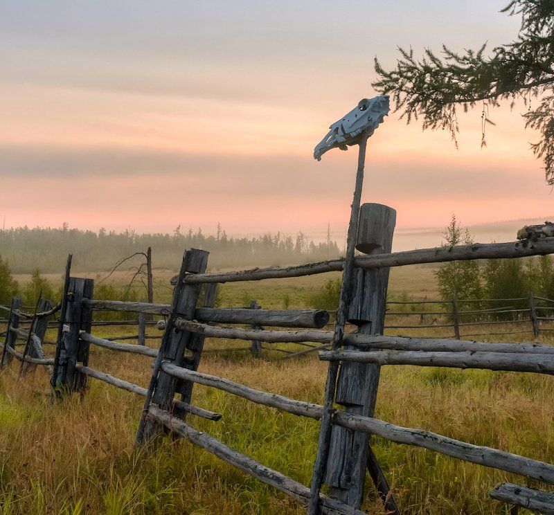 Утро на старой конной ферме фото превью