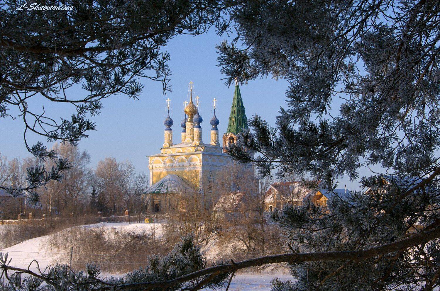 , Елизавета Шавардина