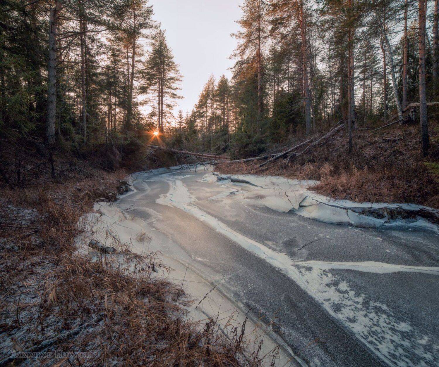 , Хохряков Николай