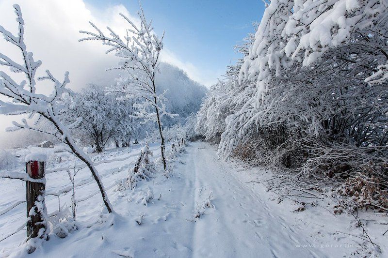 Замело фото превью