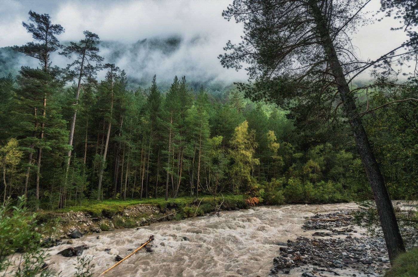 , Игорь Мелекесцев