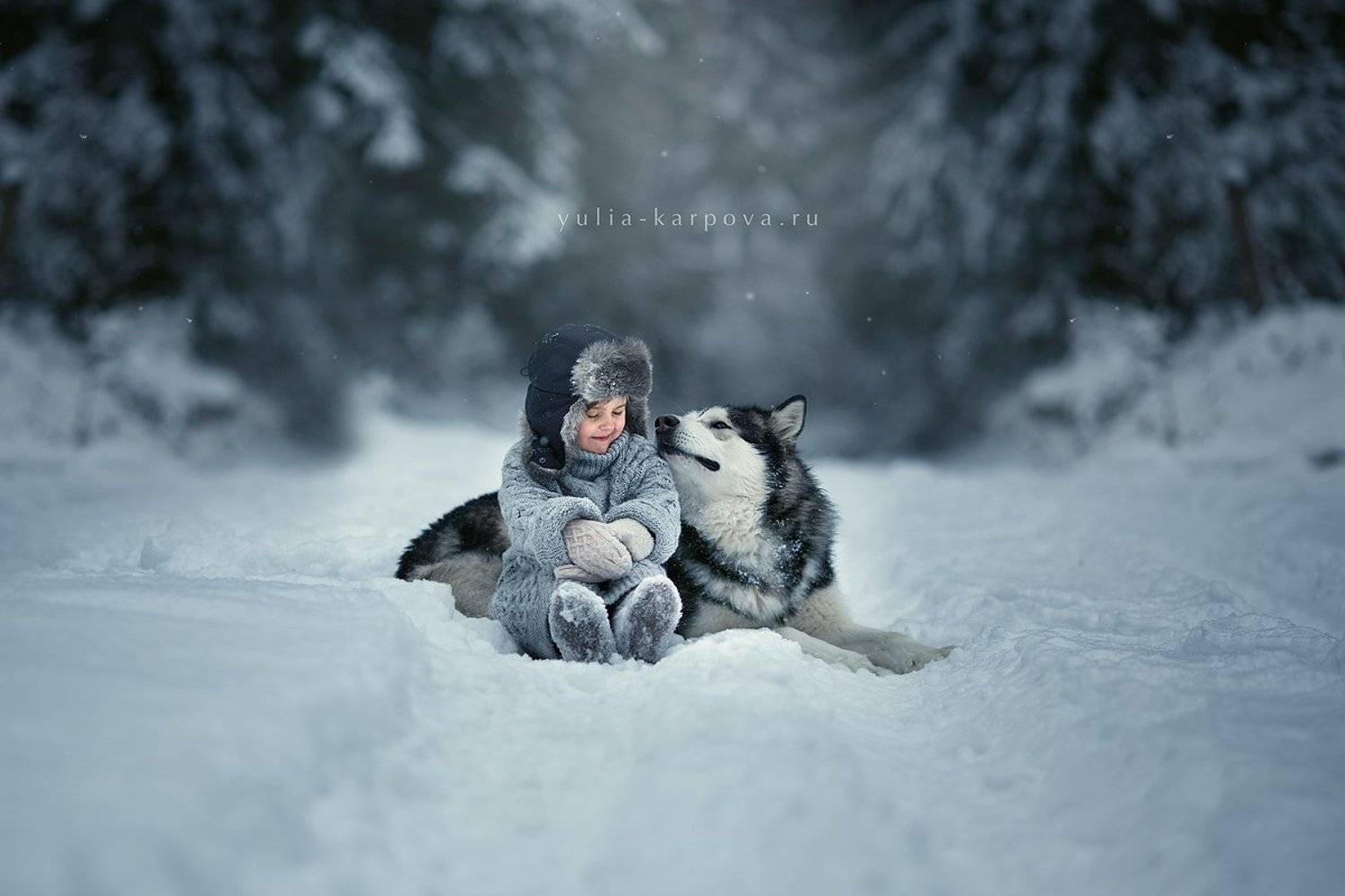 child, kid, dog, malamute, Юлия Карпова