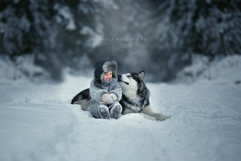 child, kid, dog, malamute Winter tales фото превью
