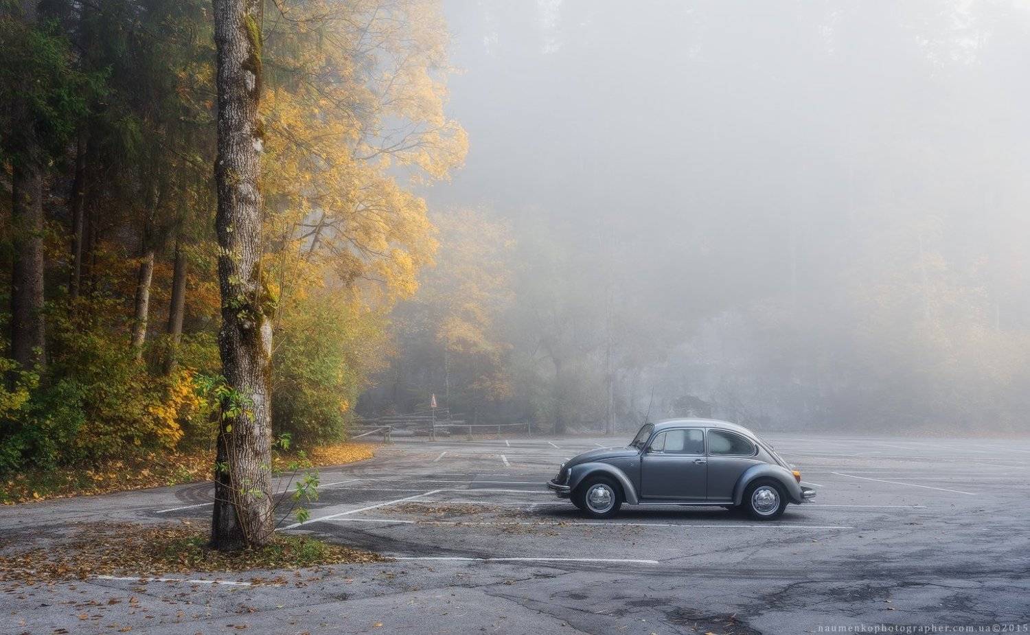 fussen,bavaria,германия,утро,парк,осень,sony,a7r, Александр Науменко