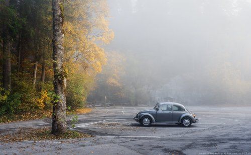 Германия. Fussen. Осеннее утро в парке.