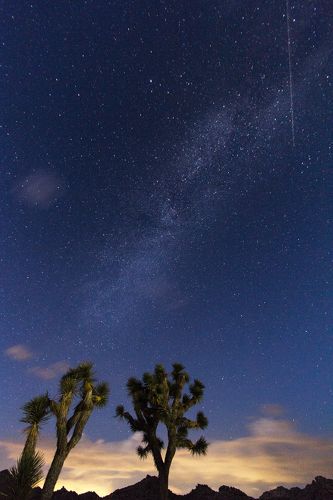 Milky way from Joshua tree park