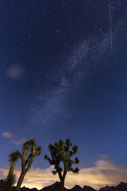 Milky way, joshua, joshua tree, stars, tree, night, sky, california, usa Milky way from Joshua tree park фото превью
