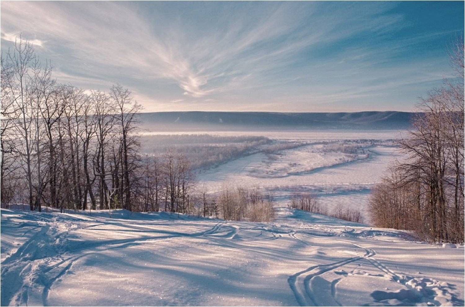 , Николай Алехин