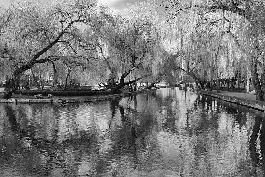 , Сергей Фудиненко