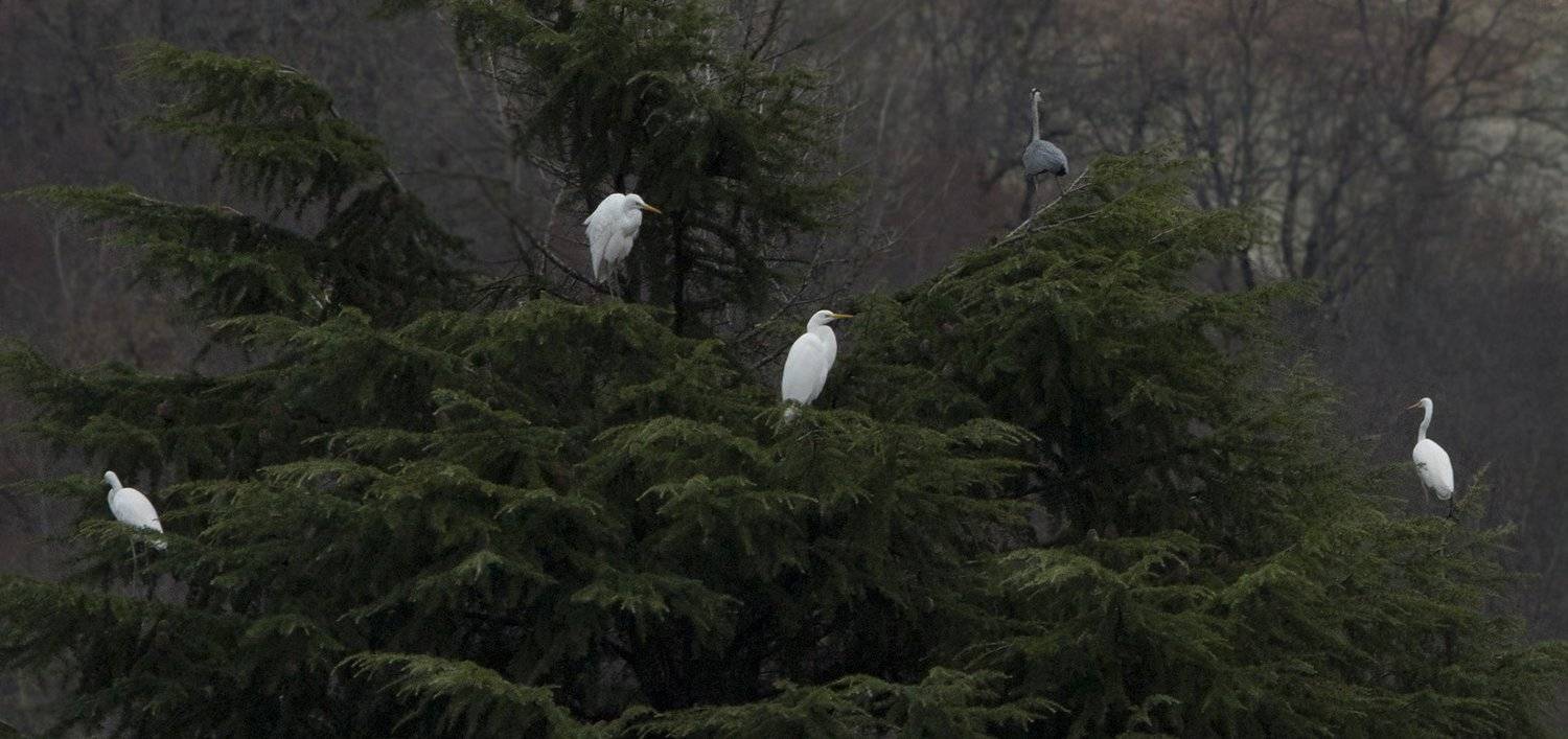 , Петрова Татьяна