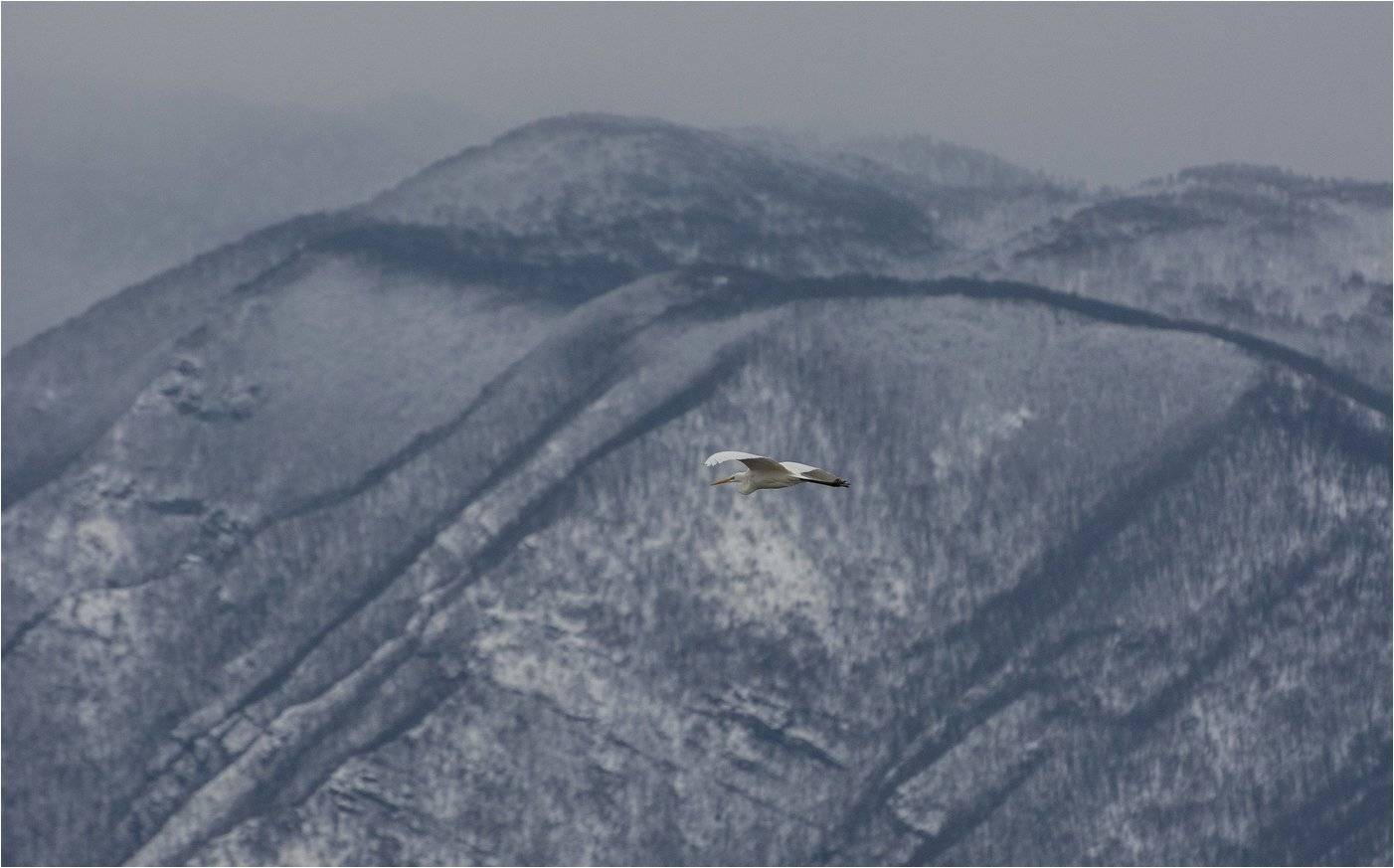 , Руслан Сигушин