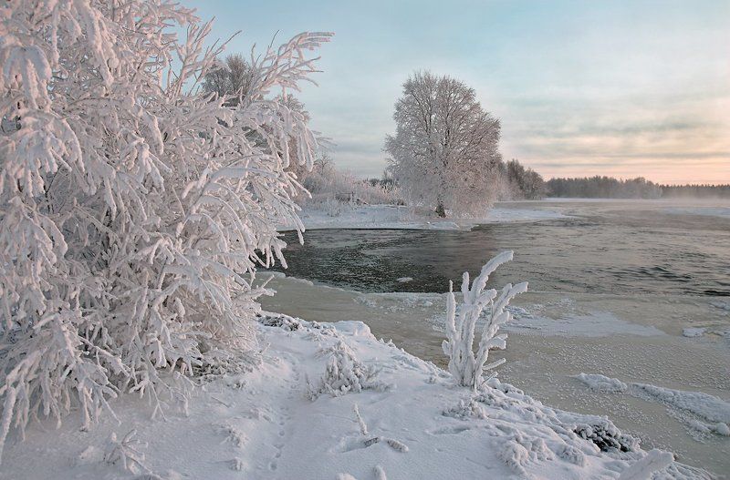 *** фото превью