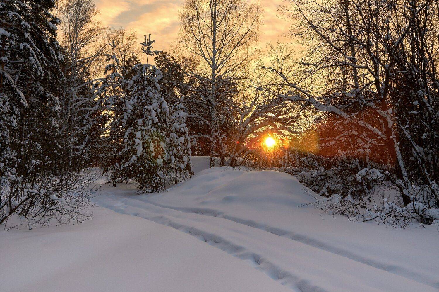 , Олег Богданов