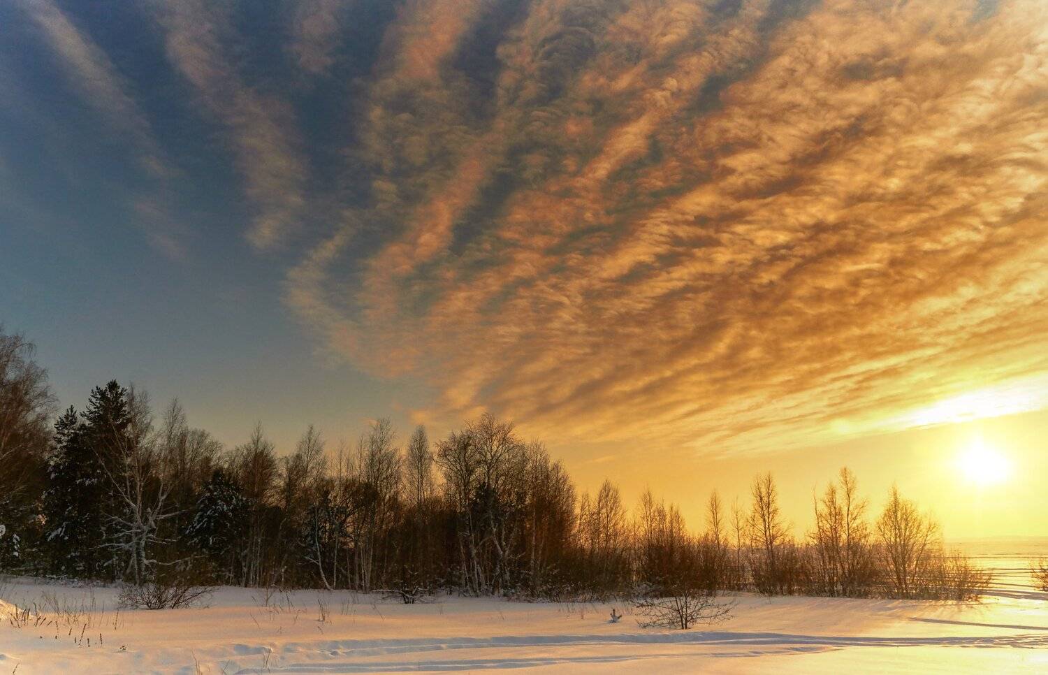 , Олег Богданов