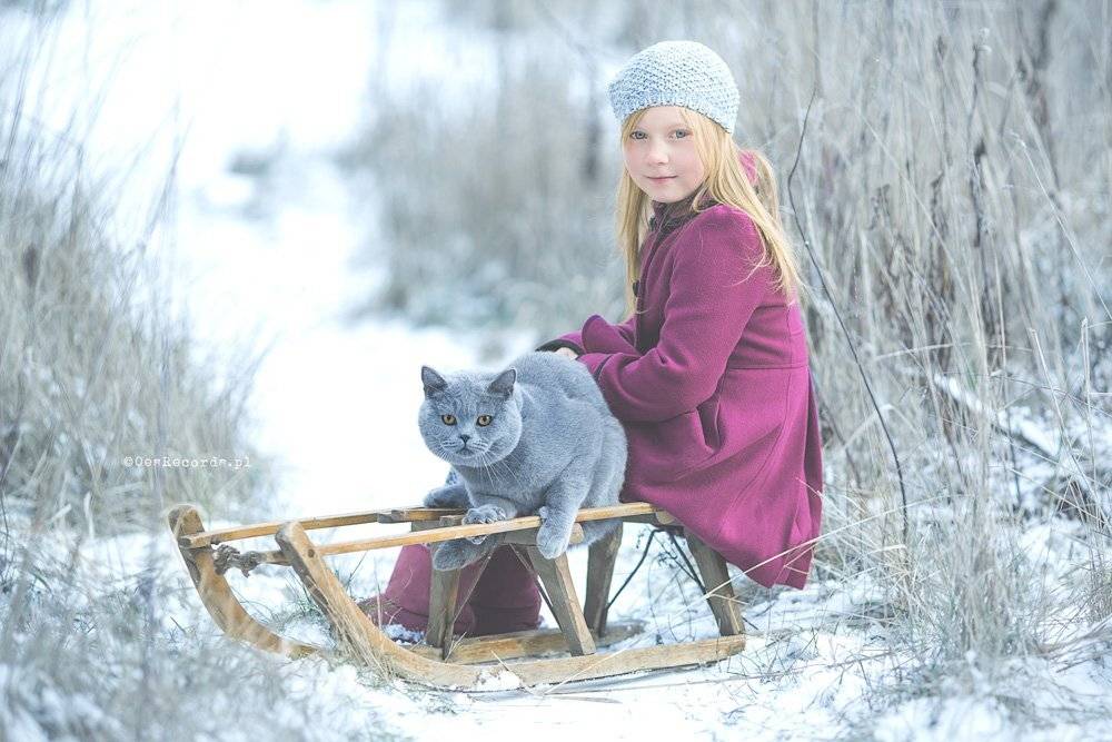 , Maciej Mogielnicki