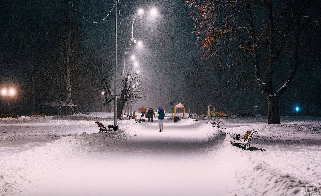 Долгопрудный, Жанр, Метель, Парк, Подмосковье, Сергей Вьюнов