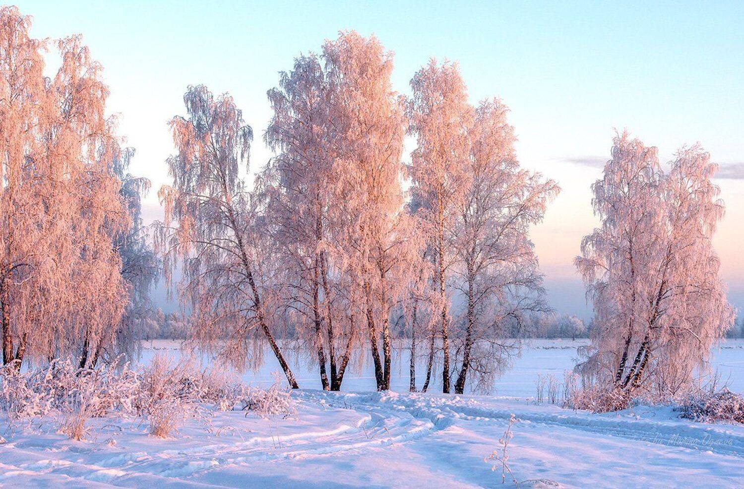 , Марина Огнева