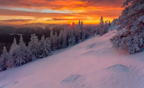 Про красного зайца на холодных уральских склонах