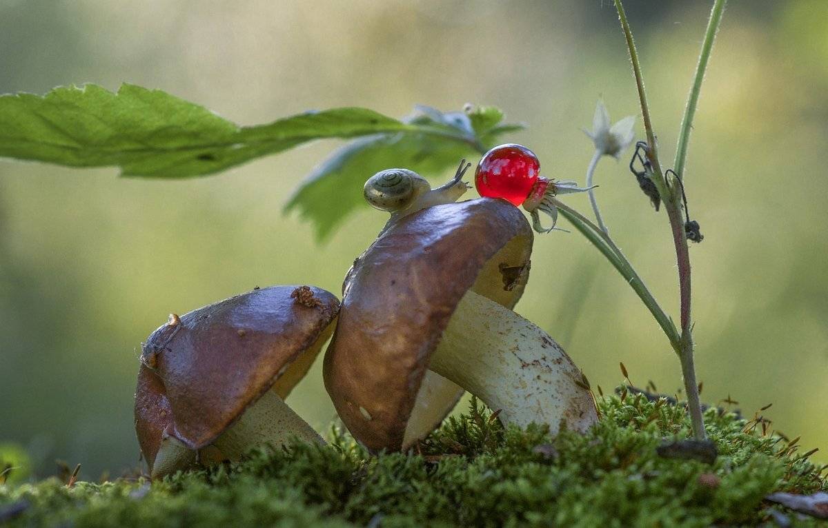 , Анатольевич