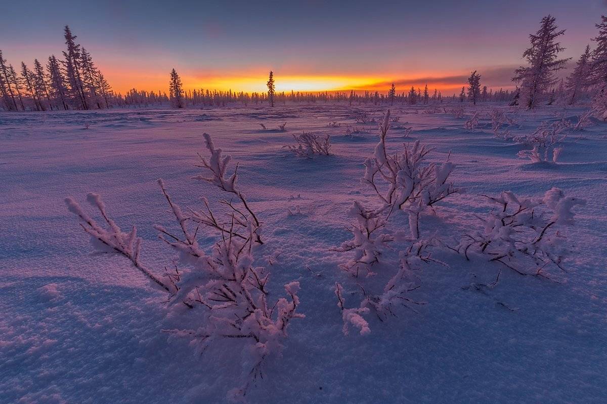 ямал, мороз, зима, снег, закат, Кирилл Уютнов