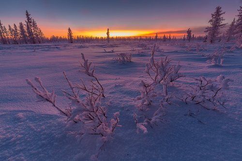 Между рассветом и закатом.