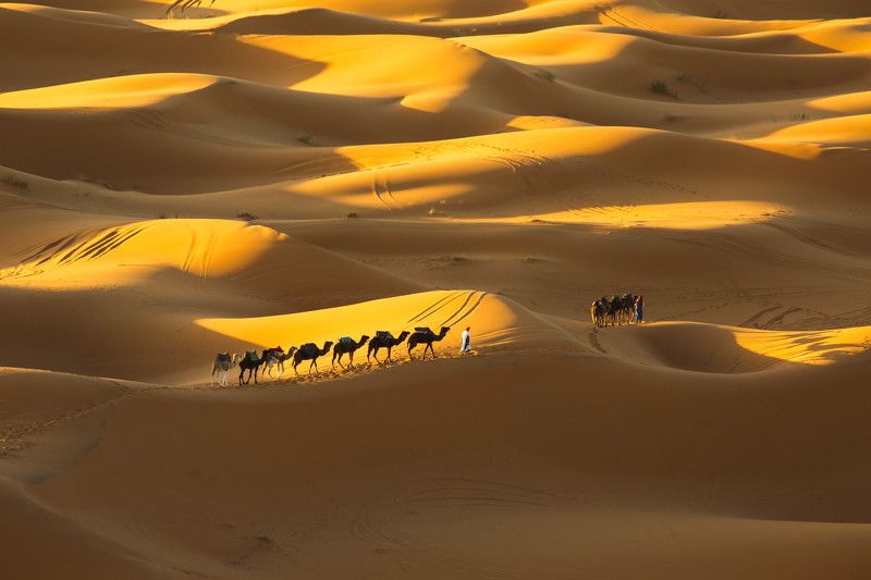 Merzouga, Sahara Desert - Morocco. фото превью