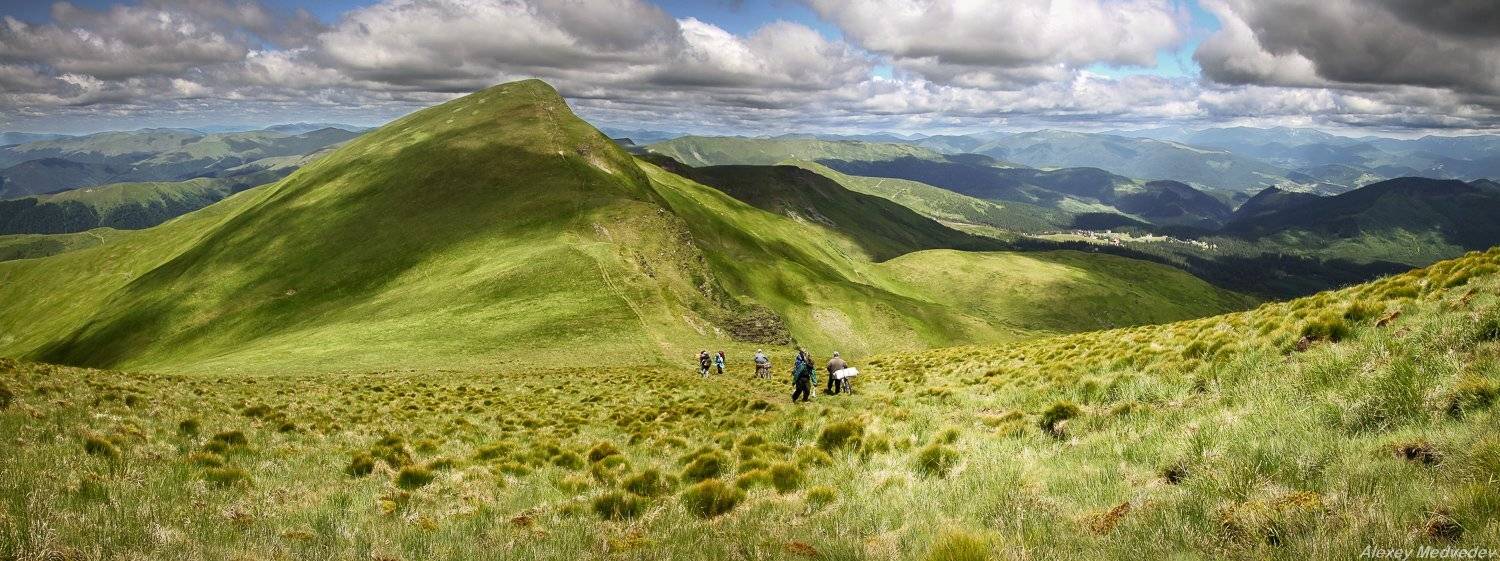 карпаты,  горы,  лето,  дождь, свидовец, облака, туман, украина, Алексей Медведев