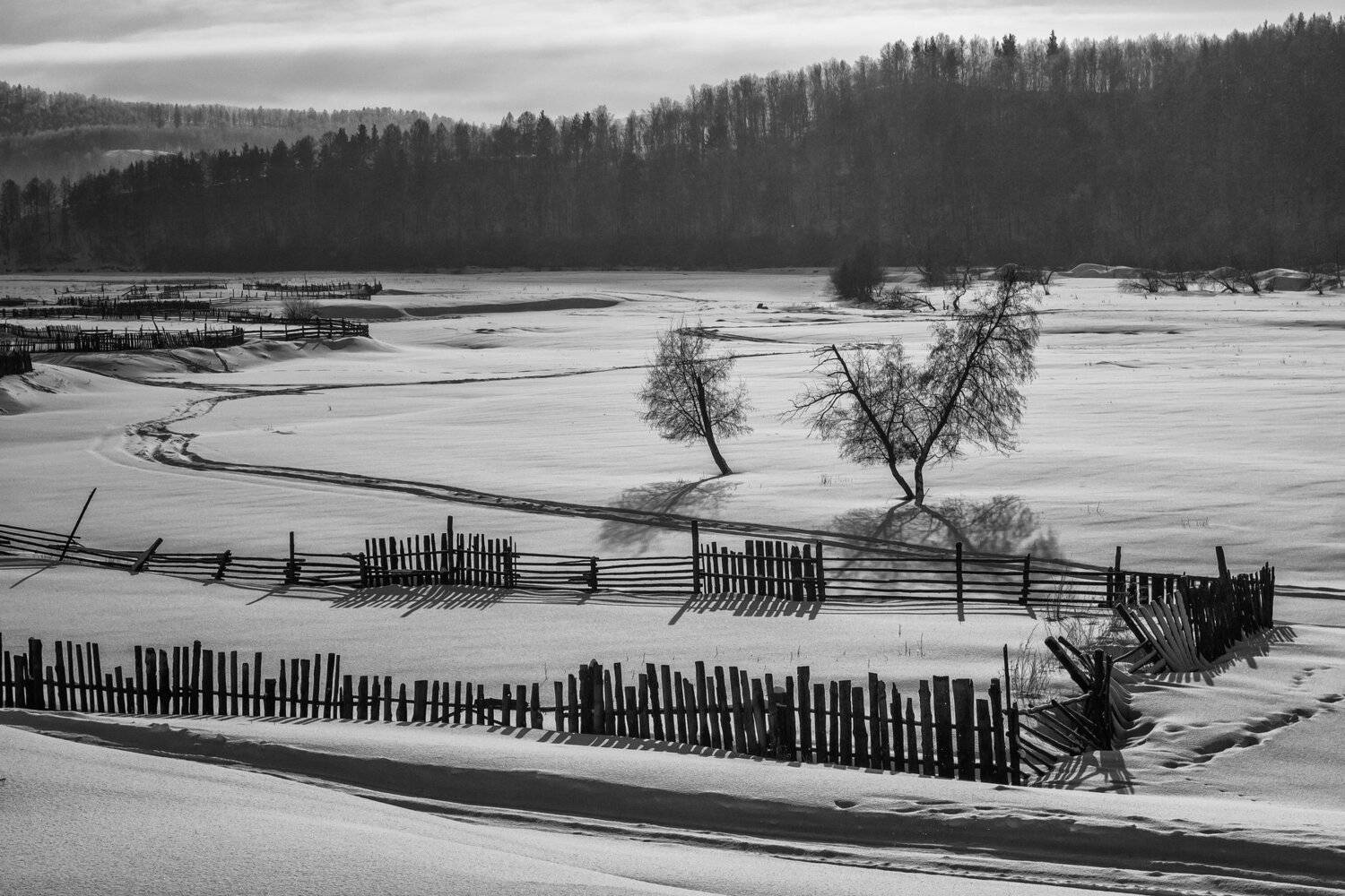 Природа, зима, зимний пейзаж, снег, иней, деревья, окраина деревни, деревянный забор, лес, горы, небо, облака, Александр Кожухов